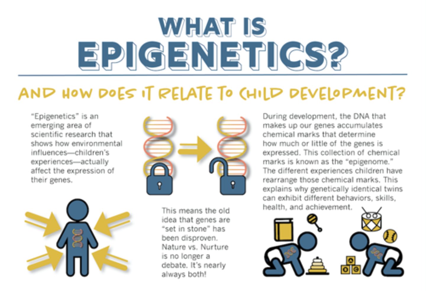<p>The study of how behaviours and the environment can cause changes in the way your genes work. Some genes are not present at birth and only become expressed in response to a life event.</p><p>e.g. diet</p>