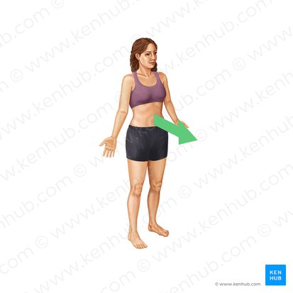 <p>toward the front or belly of the body</p>