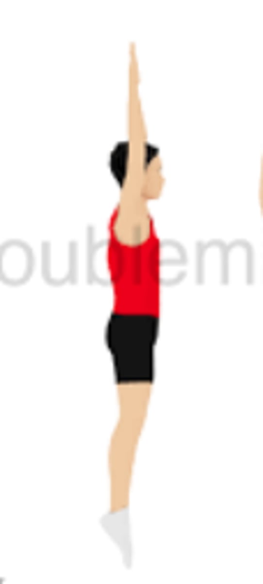 <p>Antagonist - tibialis anterior, Agonist - gastrocnemius</p>