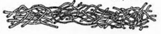 <p>staple fibres</p>