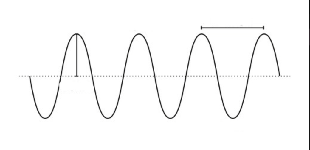 <p>Label this transverse wave</p>