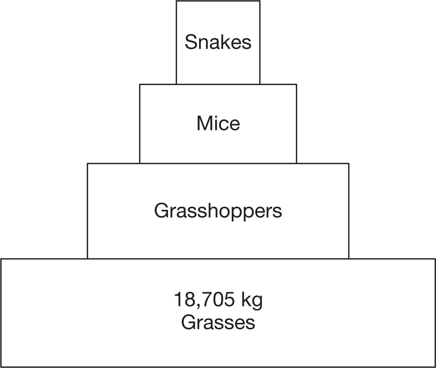 <p>Based on the diagram, which group of organisms would be considered herbivores?</p><p><strong>A</strong></p><p>Snakes</p><p><strong>B</strong></p><p>Mice</p><p><strong>C</strong></p><p>Grasshoppers</p><p><strong>D</strong></p><p>Grasses</p>