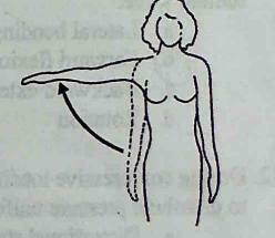 <p>Referring to the motion of the shoulder, the drawing at right depicts __________.</p><p>a. Adduction</p><p>b. Abduction</p><p>c. Internal rotation</p><p>d. External rotation</p><p>e. Flexion</p>