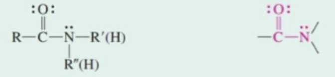 <p>-CONH₂ (primary amide)</p><p>-CONHR (secondary amide)</p><p>-CONR₂ (tertiary amide)</p>