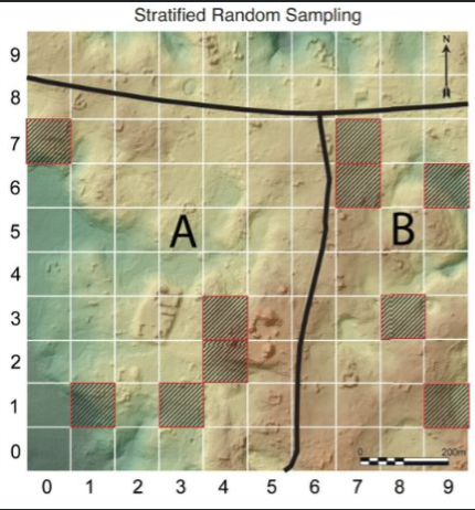 <ul><li><p>divides area into natural zones, then utilizes simple, random method to sample each area independently</p></li><li><p>each zone is tested at a predetermined percentage</p></li><li><p>the area tested is proportional to the zones overall area</p></li></ul><p></p>