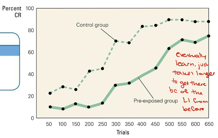 <ul><li><p>First, pre-expose animal to NS/CS repeatedly</p><ul><li><p>Ex. eyeblink = only tone, no air puff</p></li><li><p>No learning happens - animal learns that NS is not important</p></li></ul></li><li><p>If you then pair NS/CS with US, learning is inhibited</p><ul><li><p>Lag in learning because animal learned that NS doesn’t mean anything and stopped paying attention</p></li></ul></li><li><p>Later overcomes this lag and is able to learn association, just delayed</p></li></ul><p></p>