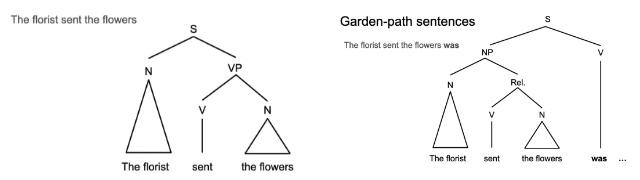 <p><strong>Garden-path sentences</strong> are sentences that initially lead the reader to interpret them in a certain way, but then require the reader to <strong>reinterpret</strong> the sentence to understand its correct meaning. This causes confusion and forces a mental reanalysis.</p><p><strong>Example</strong>:</p><ul><li><p><strong>Sentence 1</strong>: "The florist sent the flowers smiled."</p><p>Readers initially interpret "sent" as the main verb of the sentence, but then encounter "smiled", which forces them to <strong>reprocess</strong> the sentence to understand it correctly.</p><p></p></li><li><p><strong>Sentence 2</strong>: "The florist who was sent the flowers smiled."</p><p>This version is <strong>unambiguous</strong> and clearly shows the intended meaning, avoiding the confusion caused by sentence 1.</p></li></ul><p><strong>Key Point:</strong></p><ul><li><p><strong>Garden-path sentences</strong> require more mental effort because the initial interpretation is misleading, forcing the reader to go back and reinterpret the sentence.</p></li></ul><p></p>