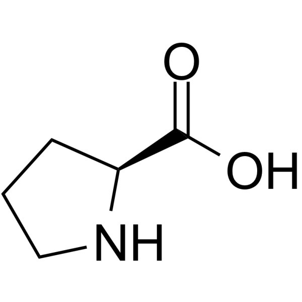 * abbreviations: Pro, P
* class: neutral & hydrophobic


* involved in hydroxylation
* It is unique among amino acids because it has a secondary amino group instead of a primary amino group.
* plays a crucial role in protein structure and stability, as it can form a rigid kink in the protein chain due to its cyclic structure.
* involved in collagen synthesis - important for structure & function of connective tissues in the body.
  * uses Vitamin C as a cofactor