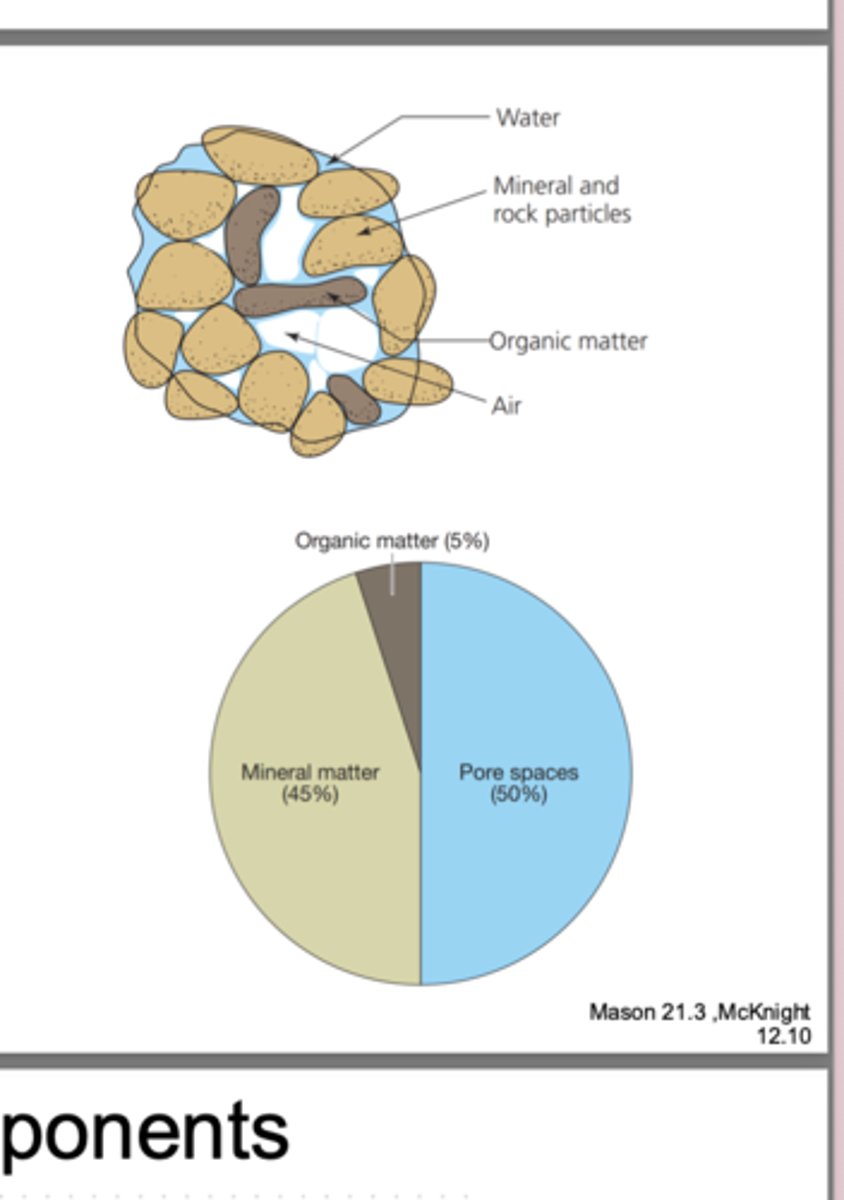 <p>minerals(45%), organic matter(5%), water, air</p><p>half of soil is empty! (50%)</p>