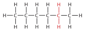 <p>6 Carbons</p>