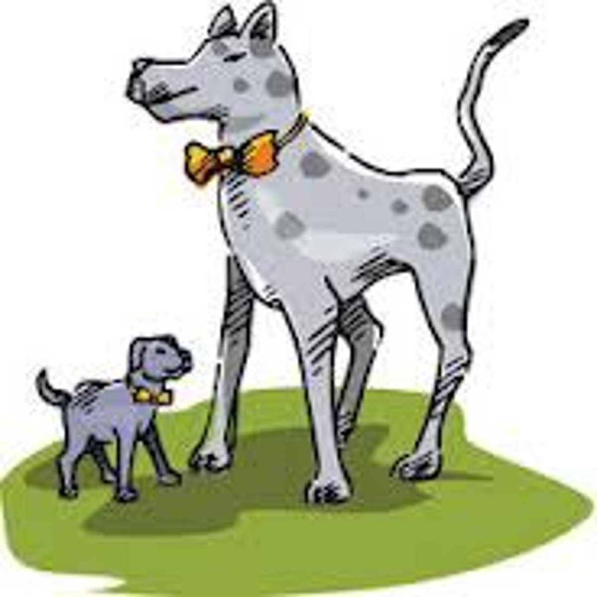 <p>the process of observing and imitating a behavior</p>