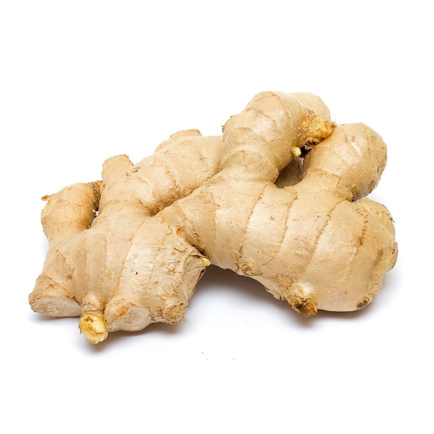 <p>Ginger</p>