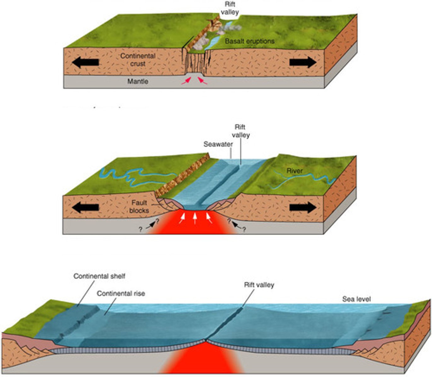 <p>Lithospheric plates that are moving away from each other. New crust is usually created at this boundary.</p>