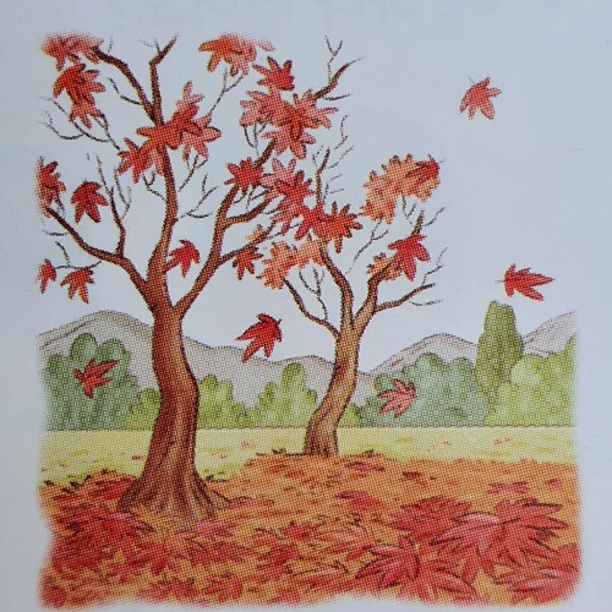 <p>lá rụng</p>