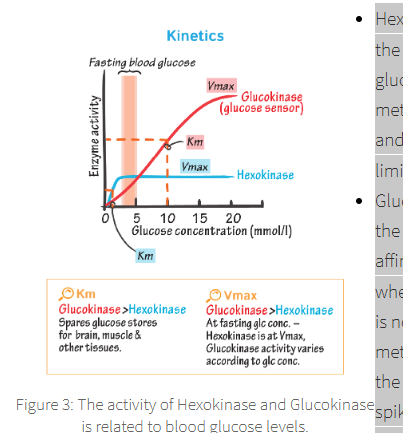 <p><span><span>hese two enzymes show activity at differing concentration of fasting blood glucose:</span></span></p>