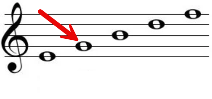 term image