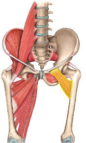 <p>What is this?</p>