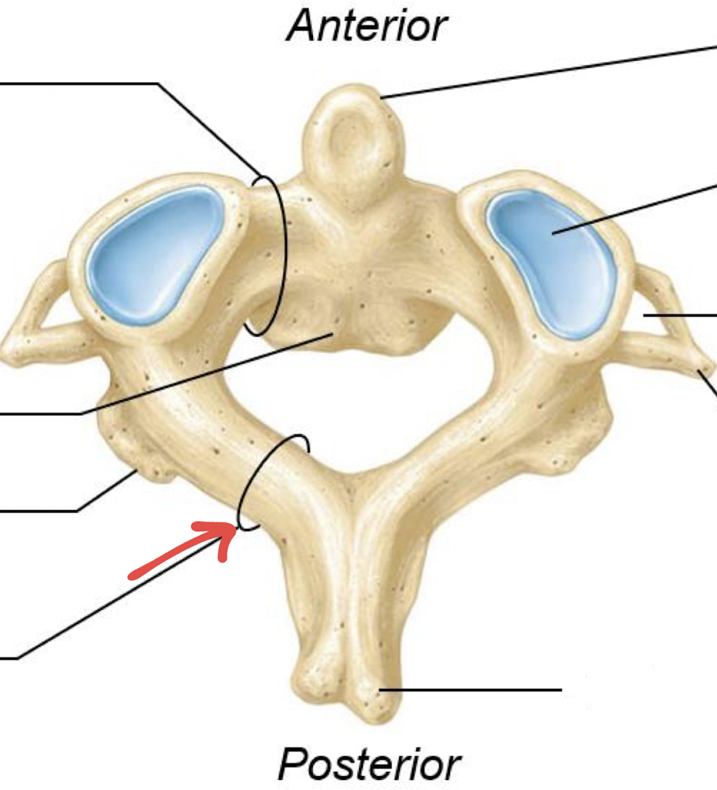 <p>what is this?</p>