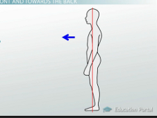 <p><span>refers to the front of the body</span></p>