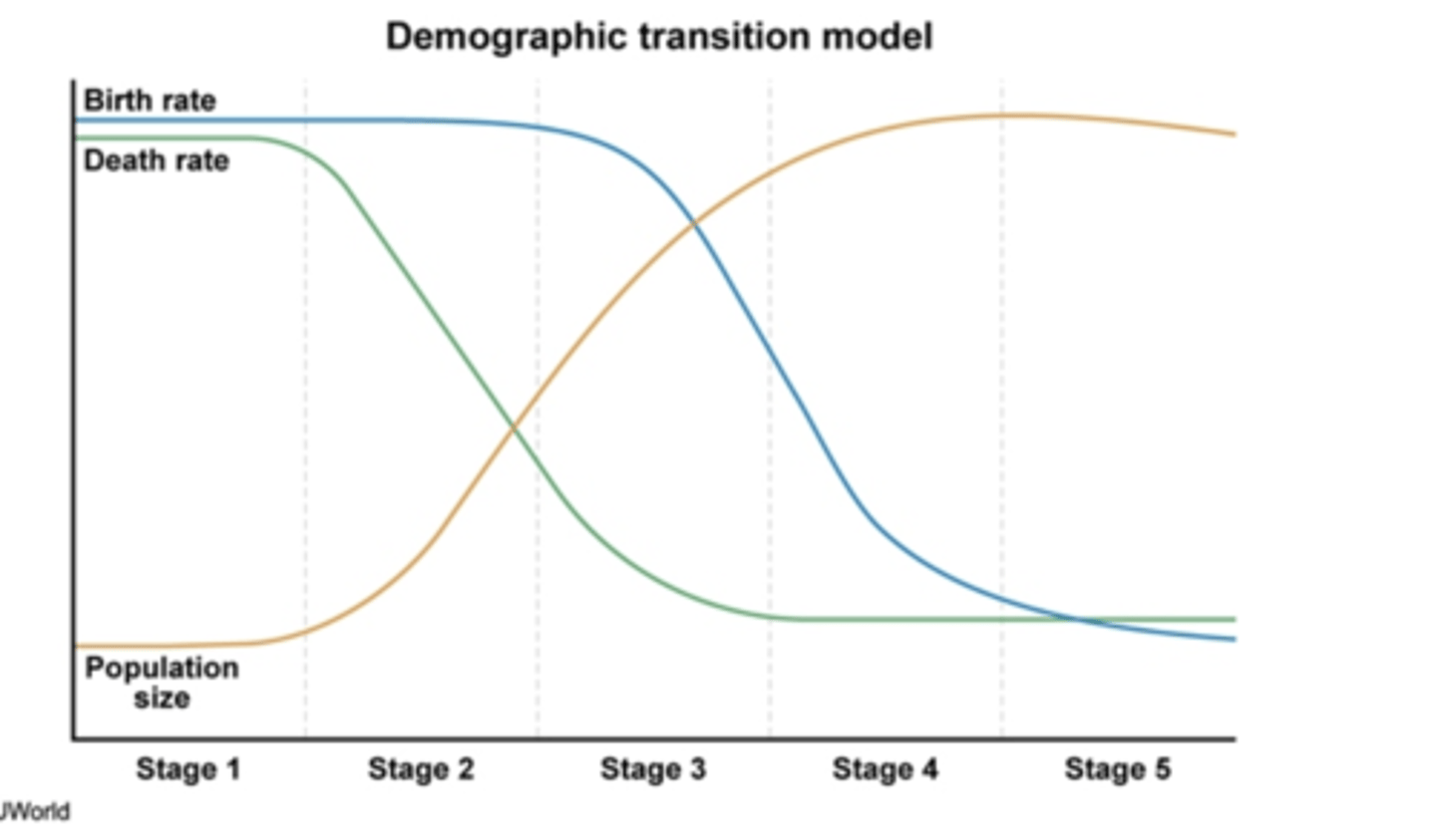 <p>Stage 1: pre-industrial<br>Step 2: industrial<br>Step 3: Urbanization<br>Step 4: Developed Societies<br>Step 5: Developed Societies with Declining Birth Rates</p>