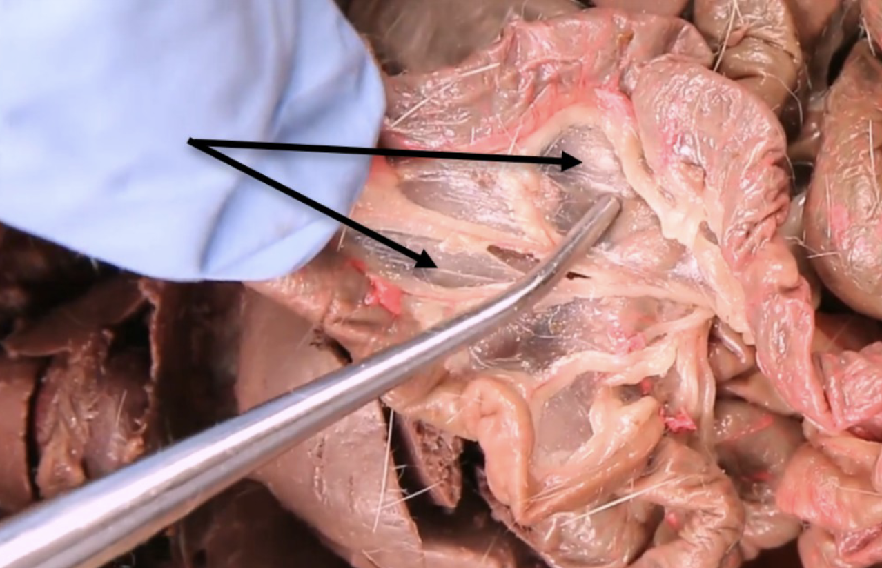 <p>What is this?</p>