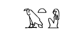 term image