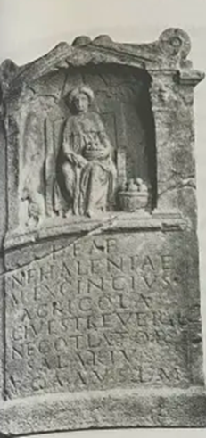 term image