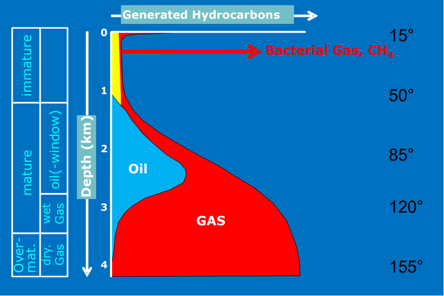 <p>The degree to which <strong>OM</strong> in sedimentary rocks has been <strong>exposed to elevated temperatures</strong> over geological time.</p><ul><li><p>immature: organic matter, waxes, bacterial gas. &nbsp;&nbsp;&nbsp;&nbsp;</p></li><li><p>mature: mostly oil and some wet gas</p></li><li><p>overmature. Mostly dry gas<br></p></li></ul><p></p>