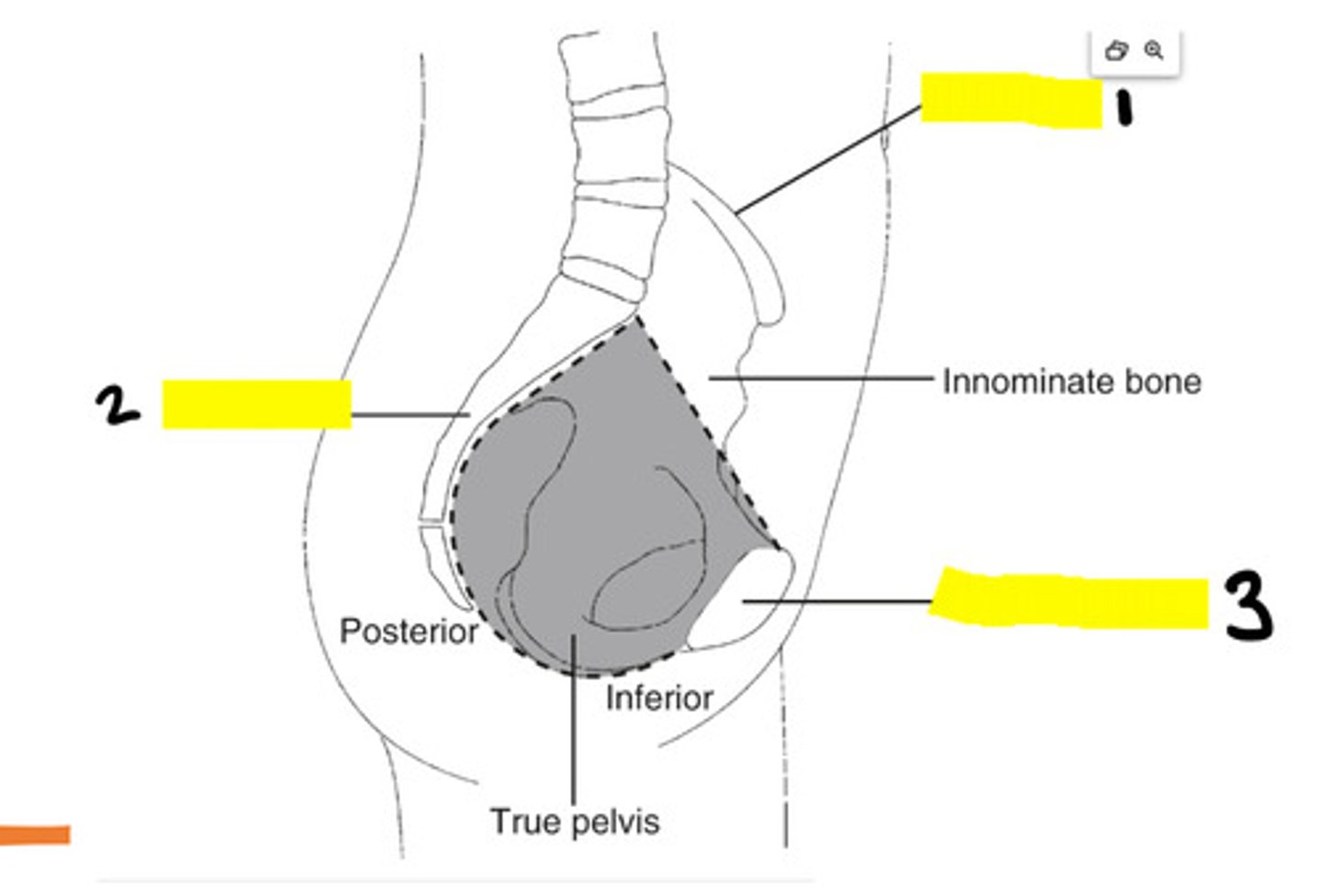 <p>3</p>