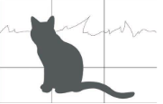 <p>divide your image or document into thirds both vertically and horizontally so that you end up with nine equal sections. When putting together your composition, place the main subject matter where the lines intersect.</p>