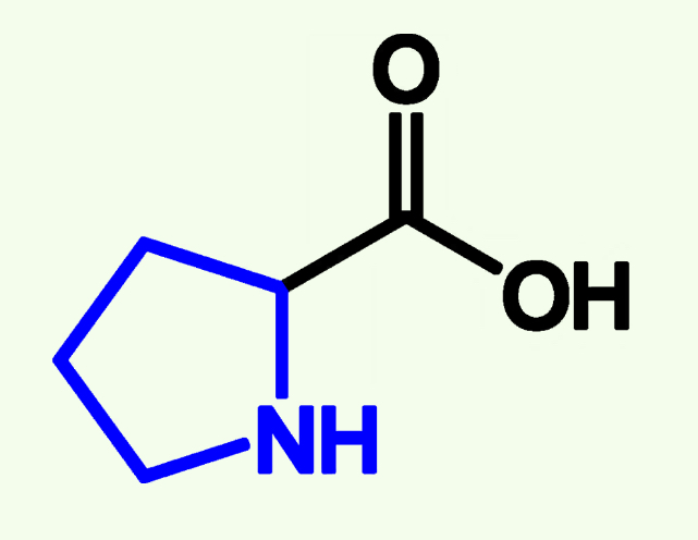 <p>Pro (P)</p><p>Non - Polar</p><p>Too Rigid</p><p>Creates Kinks Alpha helix and Beta Sheets and that distubs them</p>