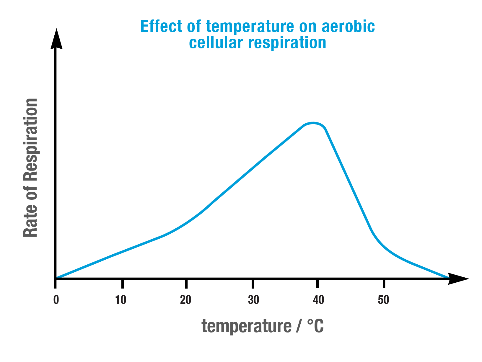 <p>37 degrees Celsius </p>