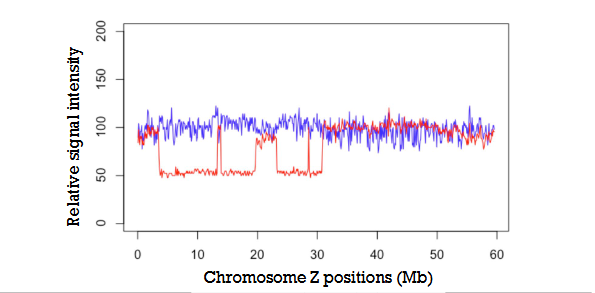 <p><span>Analysis of male and female sex chromosomes in Schistosoma</span></p>