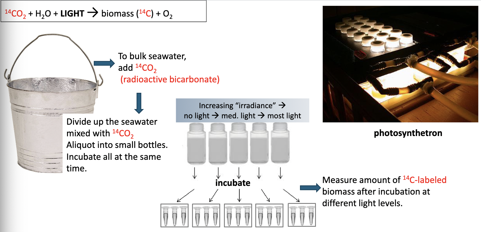 <p>By measuring the rate by which CO2 is fixed, the rate of biomass production, or the abundances of primary producers by biomass values or cell numbers.</p><p>Scientists can also measure light-driven primary production photosynthesis rates by measuring rates of O2 production in the light</p>