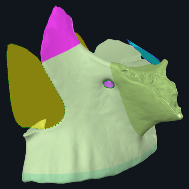 term image