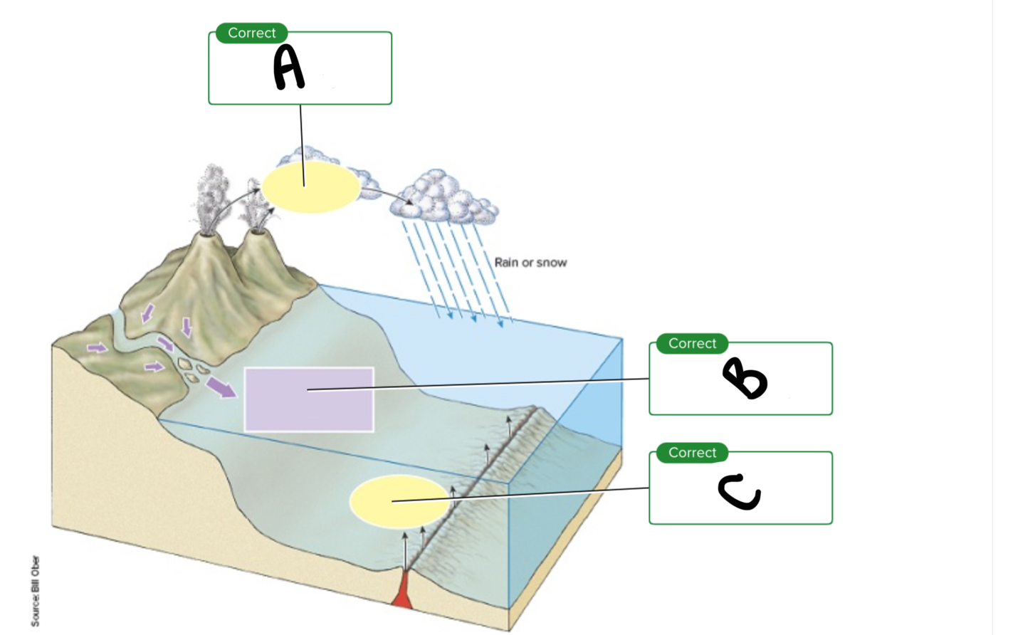<p>Charged particles in sea water, what is A?</p>