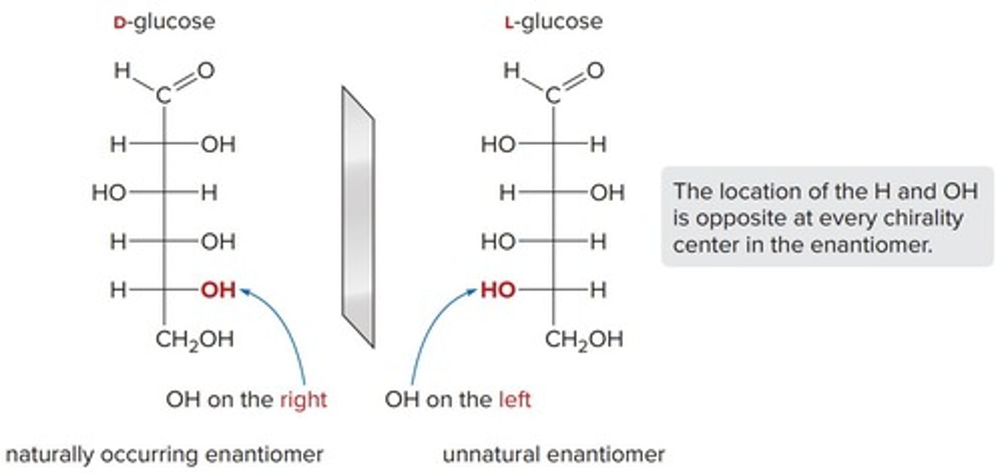 <p>The -OH group is drawn on the right side of the carbon chain.</p>