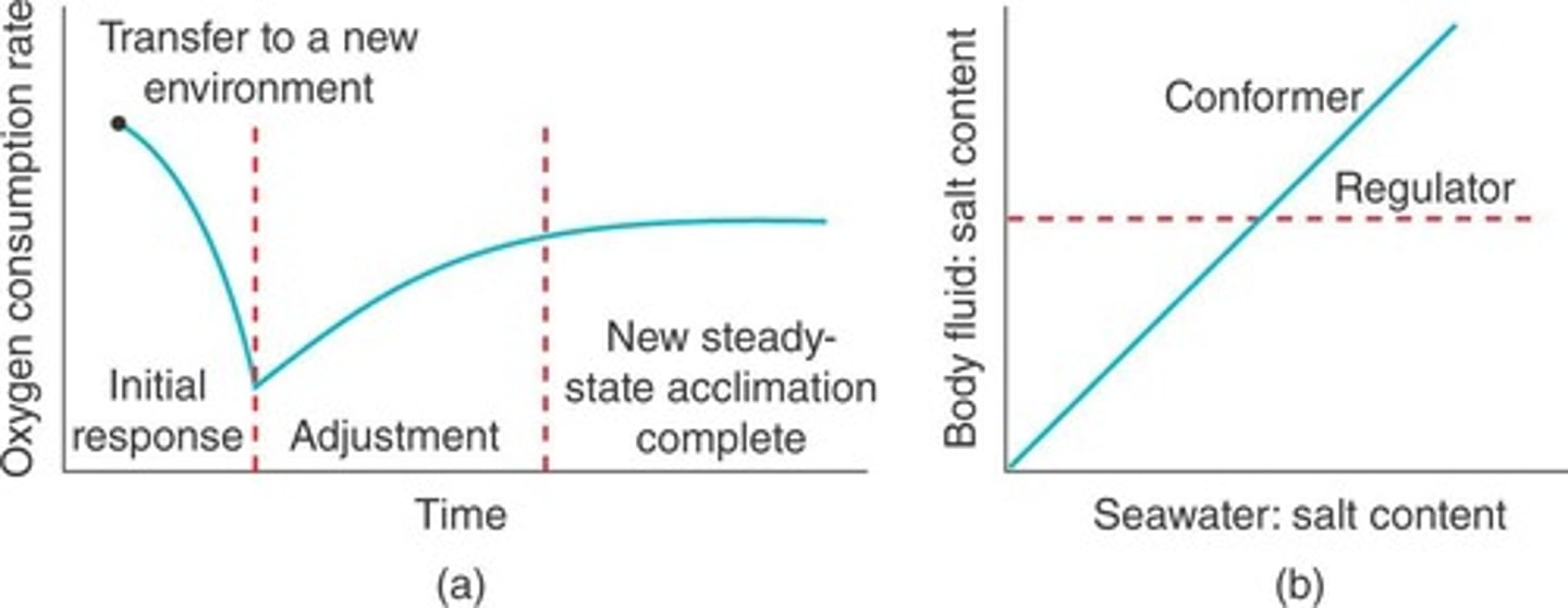 <p>Adjustment of physiology to new environmental conditions.</p>