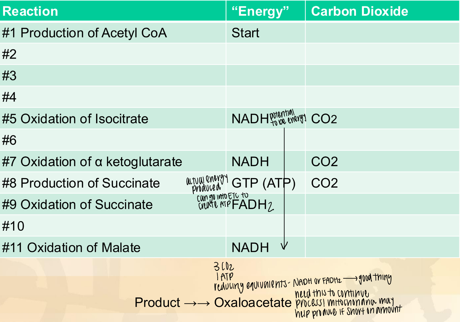 knowt flashcard image
