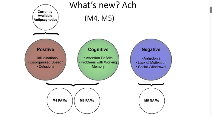 <p>Ach agonists improve the Cognitive and Negative symptoms of schizophrenia.<br></p>