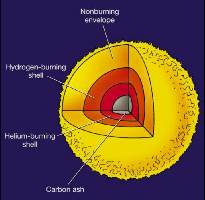<p>At the core: Runs out of helium, core collapses leaving carbon ash</p><p>At the shell: Shell becomes how enough to fuse helium into carbon</p><p>Outer layers: Shell outside that continues fusing Hydrogen to Helium</p><p>Star produces huge luminosity</p>