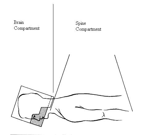 <ol><li><p>What field is this?</p></li><li><p>Other names.</p></li><li><p>What does it treat?</p></li><li><p>What cancer is this field used for?</p><p></p></li></ol><p></p>