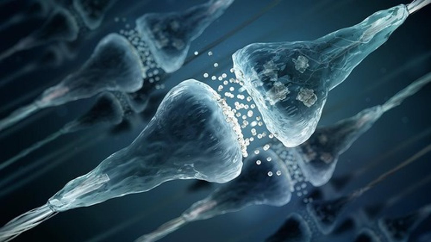 <p>Chemical messengers that carry signals across the synapse.</p>
