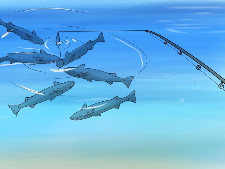 <p><span style="color: blue"><strong>(động từ</strong>) </span>nghĩa là <strong>dụ dỗ</strong>, <strong>lôi kéo</strong>, thường vào tình huống nguy hiểm hoặc không tốt.</p><p><span style="color: purple"><strong>SYN:</strong> Entice, Bait, Tempt, Seduce</span></p><p><span data-name="small_blue_diamond" data-type="emoji">🔹</span> The thief tried to <strong>_____</strong>the child away with candy.<br>→ Tên trộm cố gắng <strong>dụ dỗ</strong> đứa trẻ bằng kẹo.</p><p><span data-name="small_blue_diamond" data-type="emoji">🔹</span> Advertisements often <strong>_____</strong>customers with big discounts.<br>→ Quảng cáo thường <strong>lôi kéo</strong> khách hàng bằng các chương trình giảm giá lớn.</p>