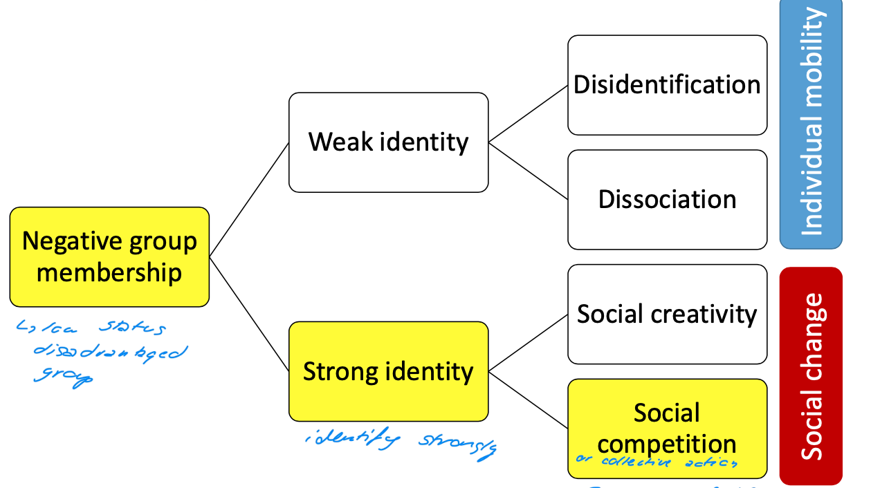 <p>what people do when belonging when belonging to a negative, low-status, disadvantage group </p><p>negative group membership → low status group </p><ol><li><p>weak identification → results in disidentification and dissociation (individual solutions) </p></li><li><p>strong identification → social creativity & social competition/collective action → social change (group-based solutions) </p></li></ol><p></p>