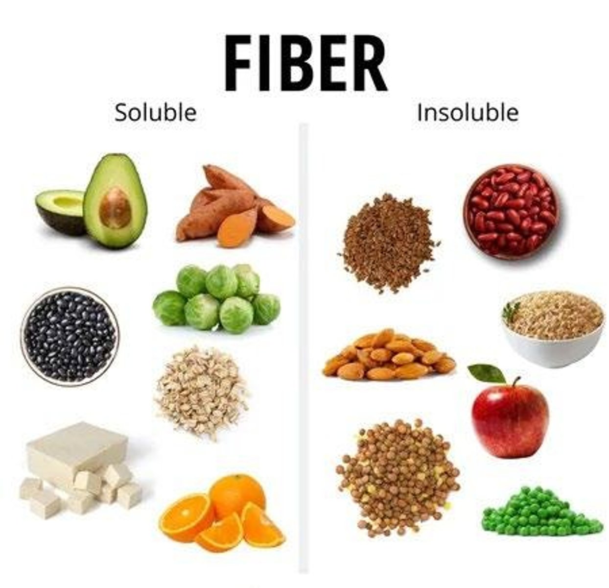 <p>found in plant cells broken down/fermented by bacteria in large intestine; serves as important food source that gives you "full" feeling</p><p>- ex: lettuce, pectin, xanthan gum</p><p>- Dissolves in water to gel-like and slows glucose absorption into the blood</p>