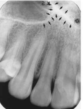 <p>identify the structure </p>