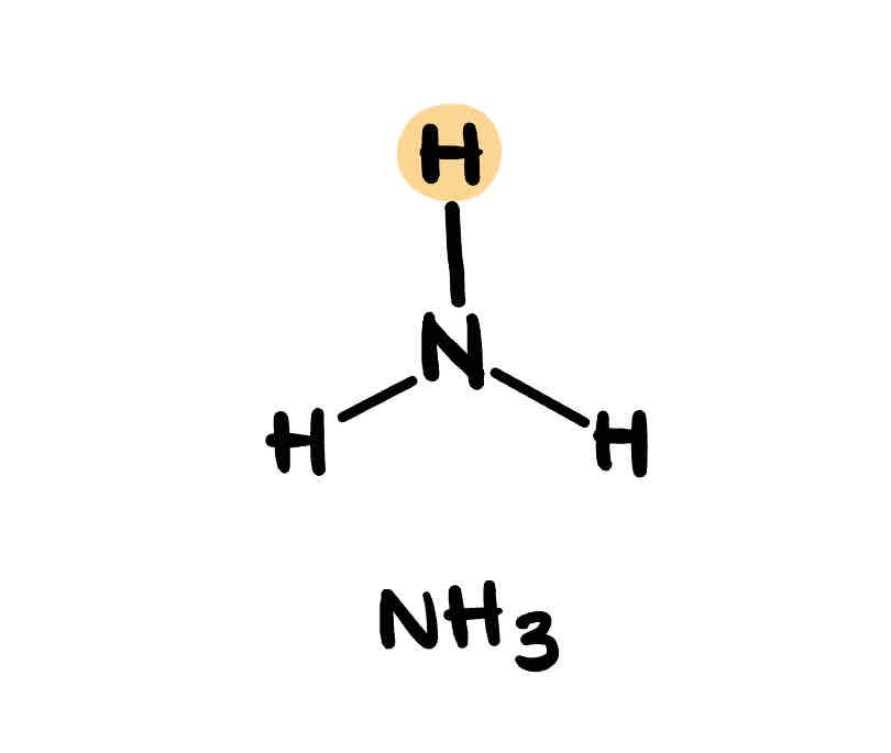 <p>NH3</p>