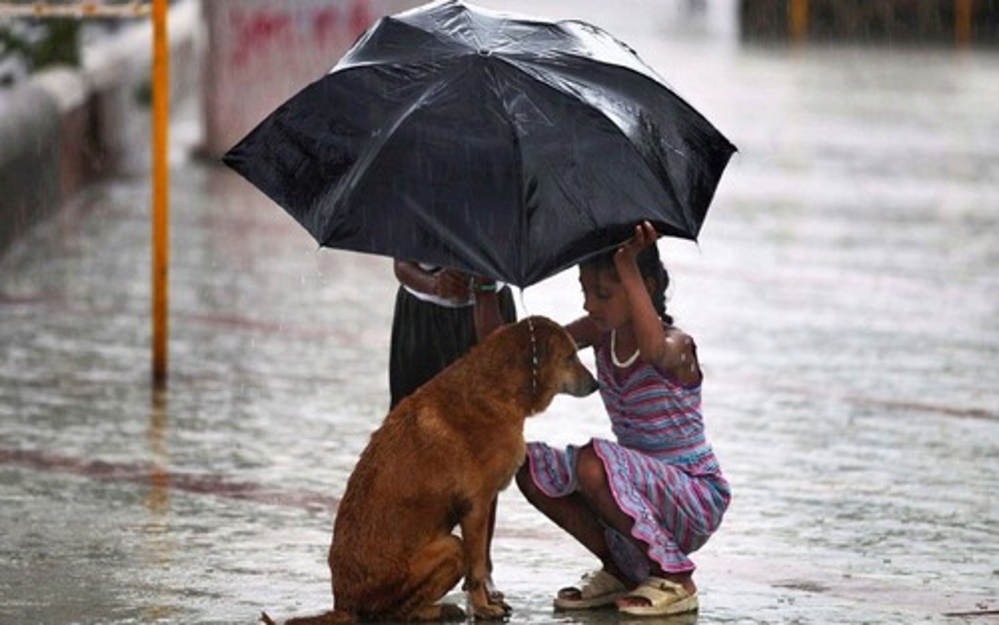 <p>adj. tốt bụng</p>