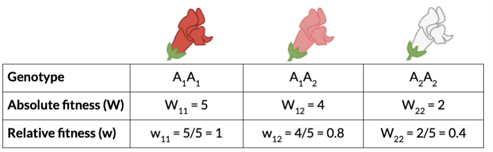 <p>(Probability that an individual survives to maturity) x (expected # of offspring if the individual does survive)</p>